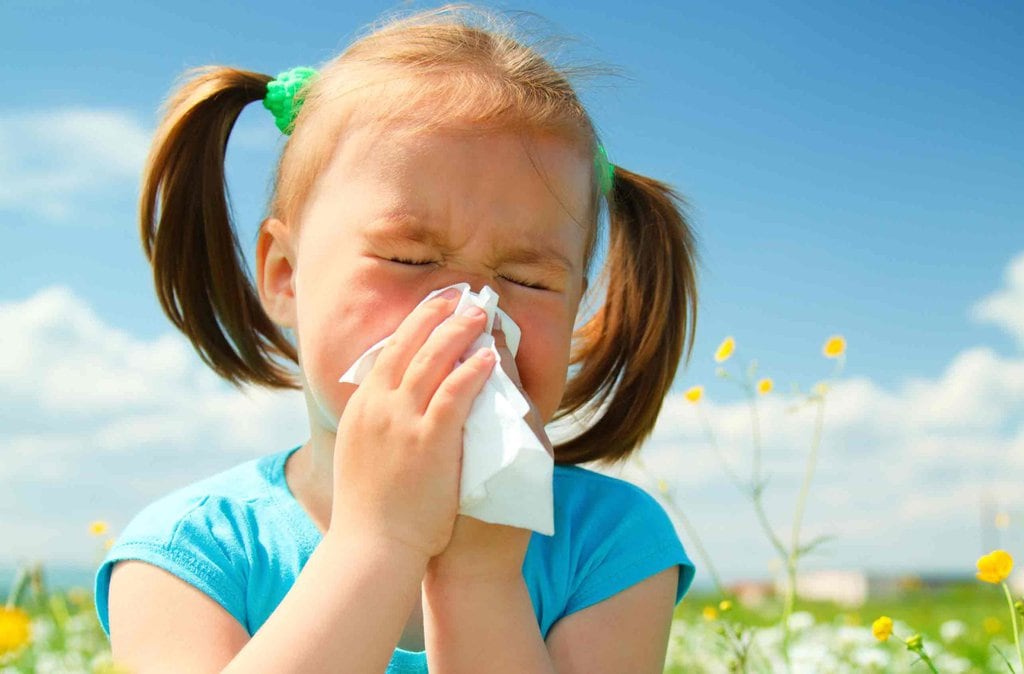 6 Significant Factors That Separate Colds From Allergies